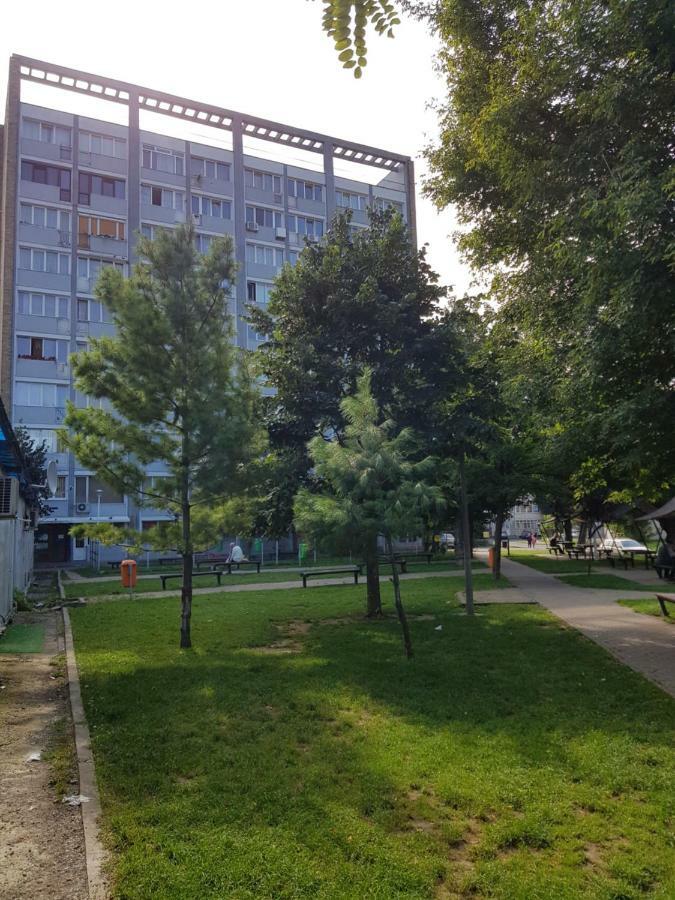 Studio Central Karácsonkő Kültér fotó
